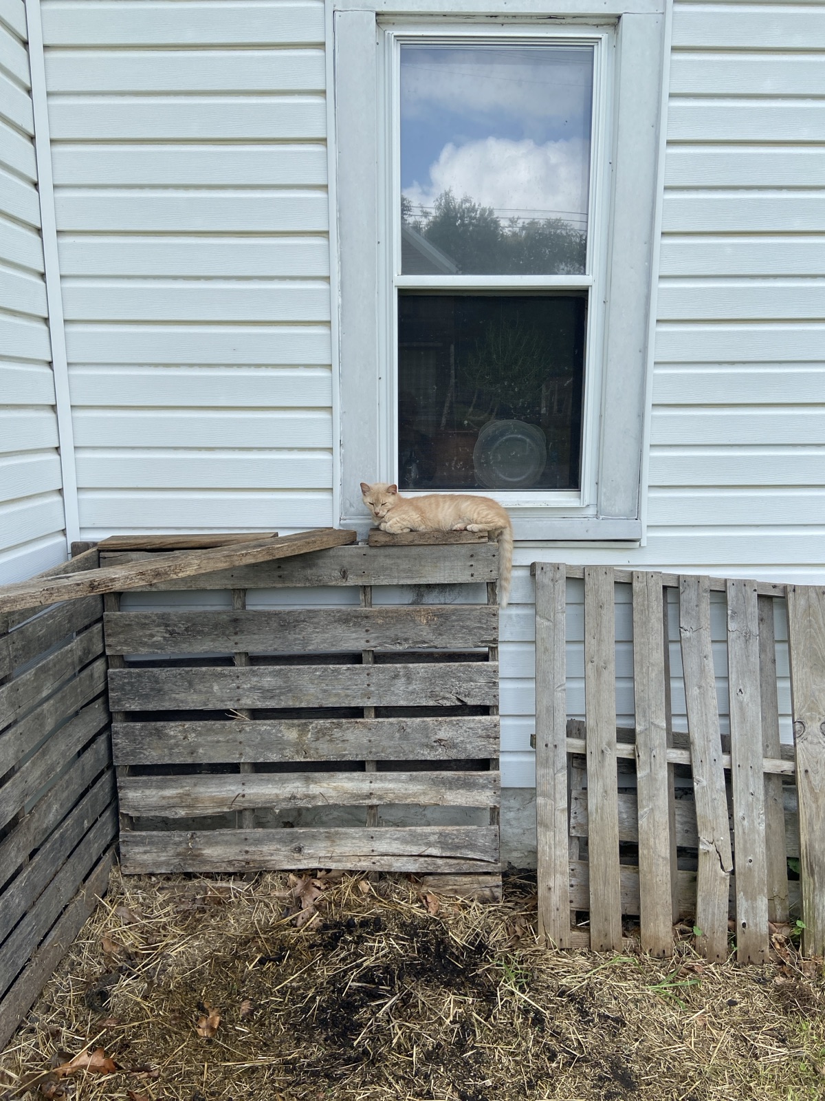 Photo 1 of 3