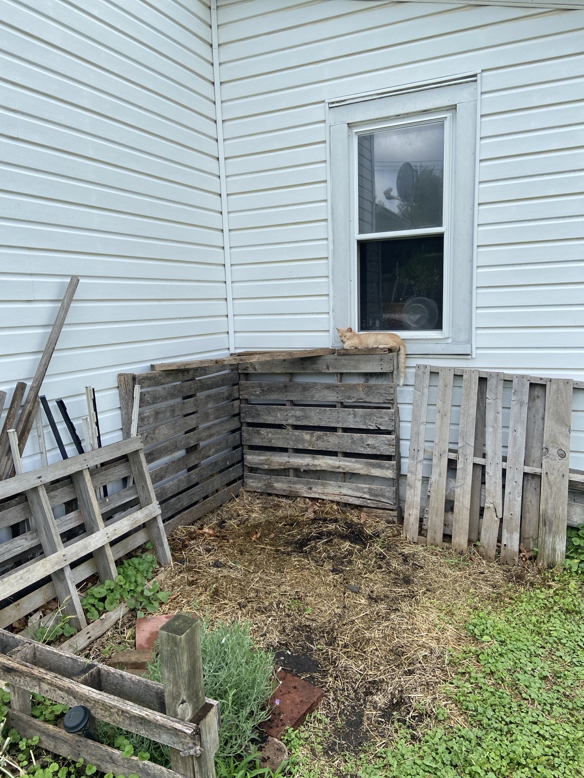 Photo 2 of 3