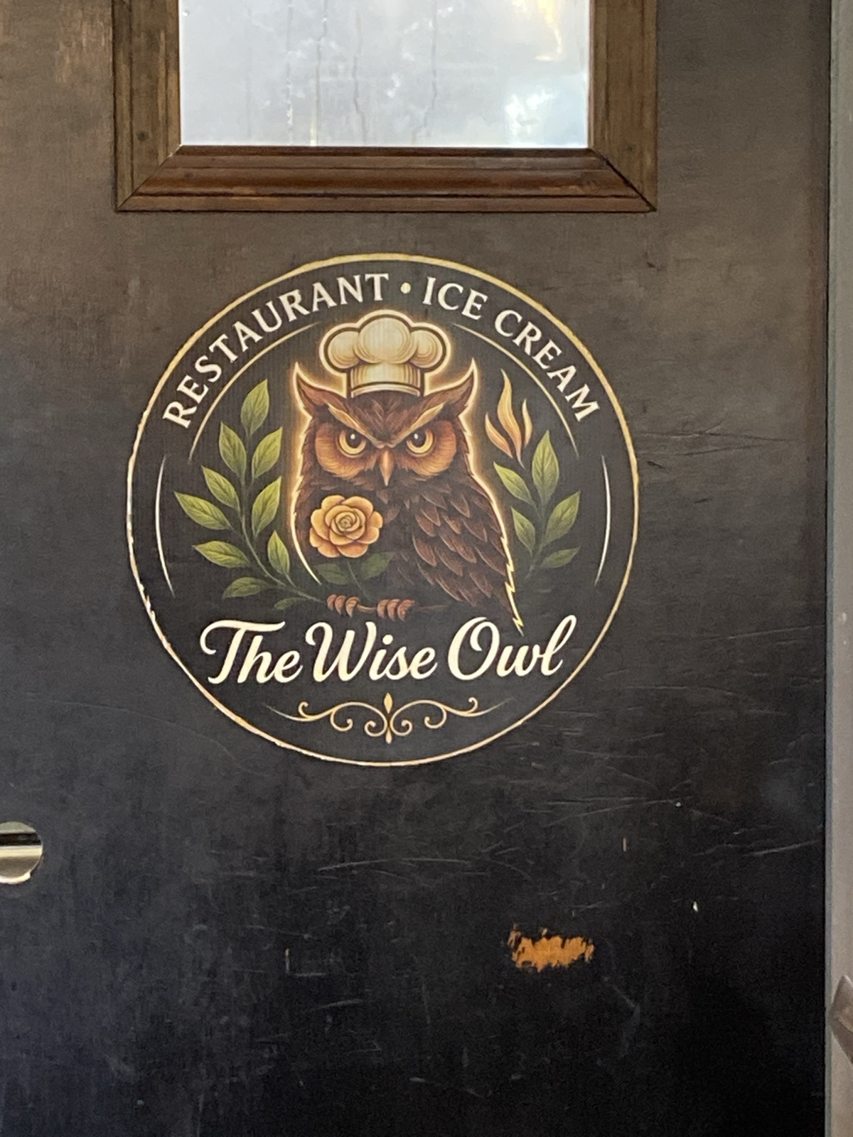 Wise Owl